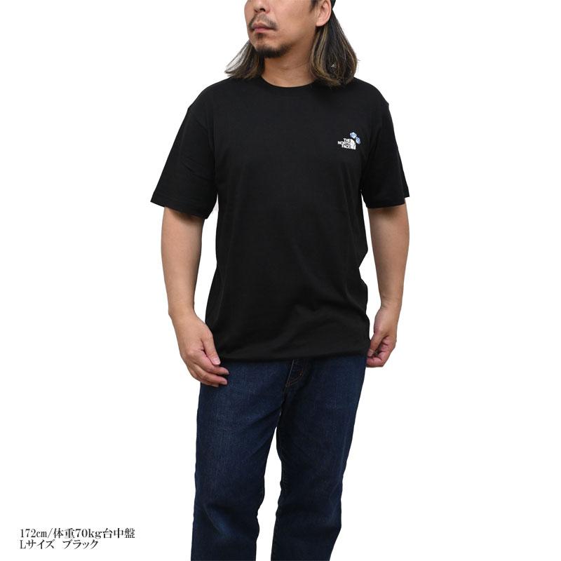 THE NORTH FACE ザ・ノース・フェイス Tシャツ 半袖 メンズ