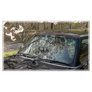 カーシャンプー 泡 撥水 業務用 最強 洗車 カーワックス コーティング コーティング施工車メンテ 水垢 リピカ【 コーティングカーシャンプー 200ml 】 | リピカ | 05