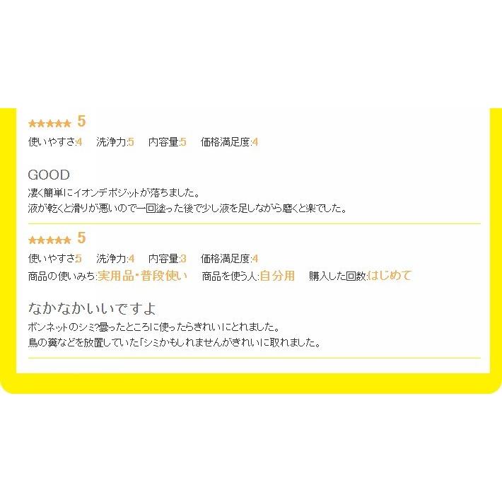 イオンデポジット除去剤 ウォータースポット イオンデポジット 水垢 雨ジミ スケール ウロコ 鱗状痕 シリカ リピカ イオンデポジットクリーナー 0ml B 5 リピカ ヤフー店 通販 Yahoo ショッピング
