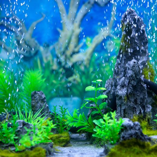 超特価激安 エアレーションホース カーテン エアレーション アクアリウム エアーストーン 熱帯魚 エビ メダカ 金魚 水草 水槽 Rmladv Com Br