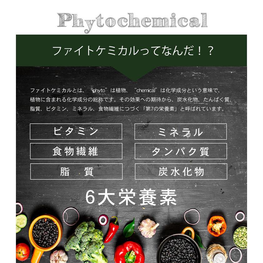 スルフォラファン 約1か月分×2袋 C-100-2 (60カプセル×2袋) サプリメント ブロッコリースプラウト ブロッコリー 健康 ビタミンE サプリ | Lipusa | 06