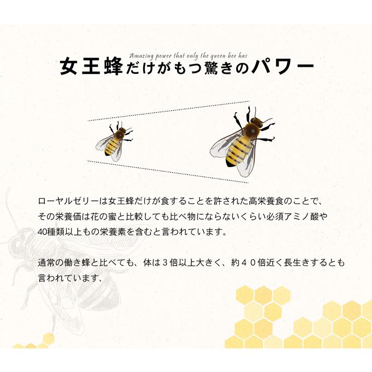 Lipusa（リプサ） 高純度ローヤルゼリー 約3か月分×2袋 C-108-2 (90
