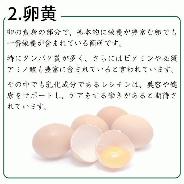 にんにく卵黄 約3か月分×2袋 C-110-2 サプリメント 健康 サプリ 女性｜ripusa｜05