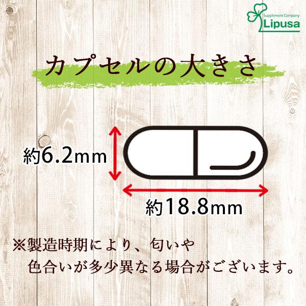 大豆イソフラボン 約3か月分×2袋  C-125-2 サプリメント 健康｜ripusa｜05