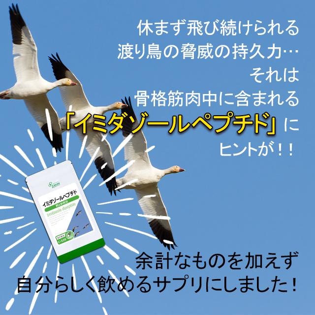 イミダゾールペプチド 約1か月分 C-529 サプリメント イミダペプチド 健康｜ripusa｜06