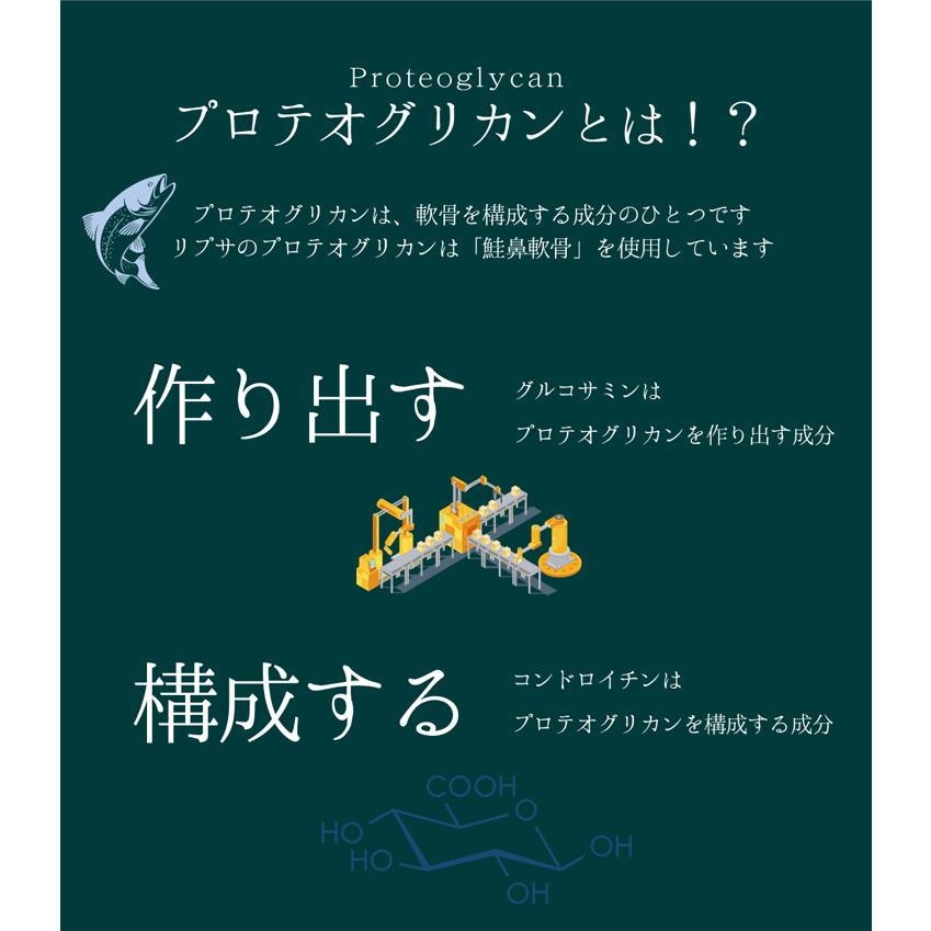 プロテオグリカン 約1か月分×3袋 C-533-3 サプリメント 健康｜ripusa｜03