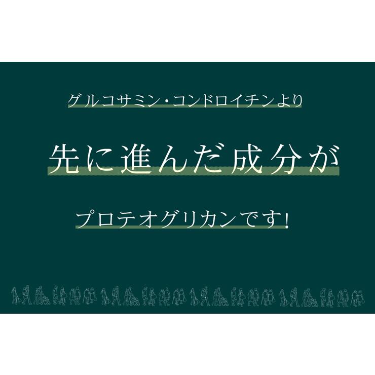 プロテオグリカン 約1か月分×3袋 C-533-3 サプリメント 健康｜ripusa｜04