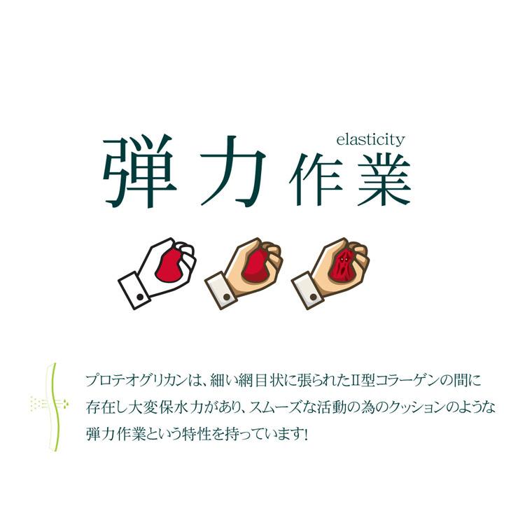 プロテオグリカン 約1か月分×3袋 C-533-3 (30カプセル×3袋) サプリメント 健康 | Lipusa | 04