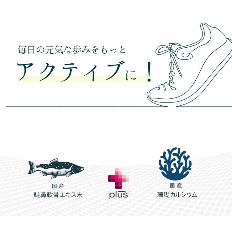 プロテオグリカン 約1か月分×3袋 C-533-3 (30カプセル×3袋) サプリメント 健康 | Lipusa | 05