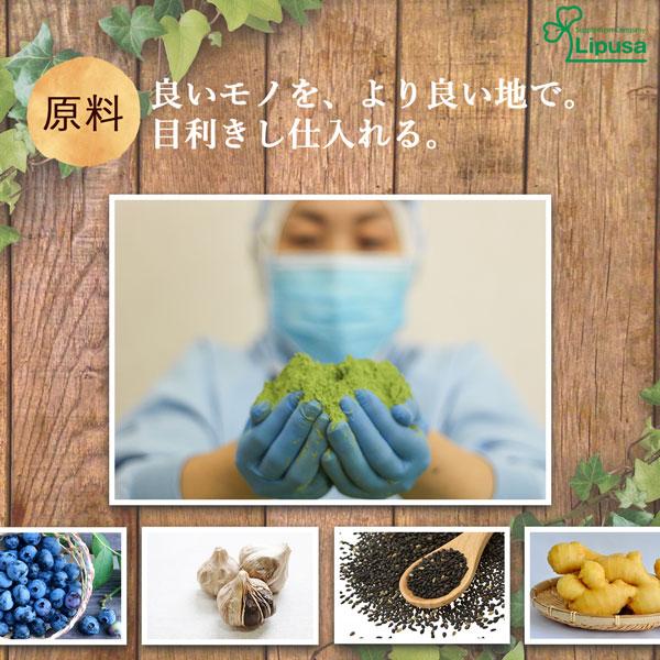 金時生姜粒 約3か月分×2袋 T-652-2 サプリメント ダイエット｜ripusa｜08
