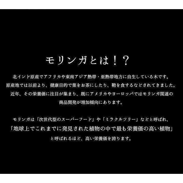 モリンガ 約3か月分 C-123 サプリメント 健康  美容 ビタミンC 鉄 ミネラル GABA 食物繊維 アミノ酸 ビタミンE｜ripusa｜03