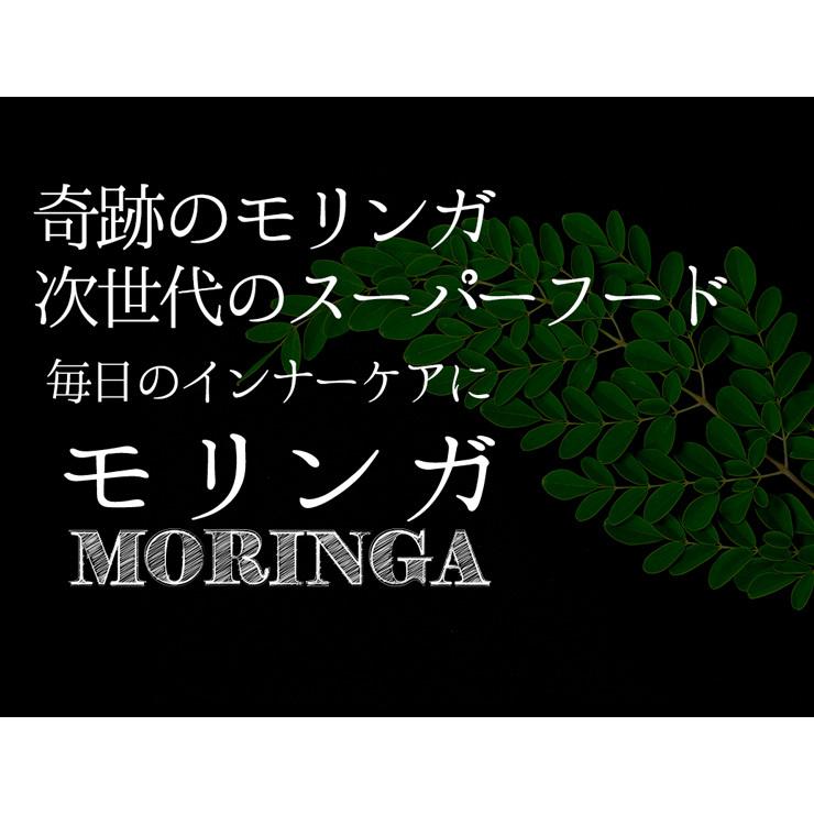 モリンガ 約3か月分 C-123 (90カプセル) サプリメント 健康 美容 ビタミンC 鉄 ミネラル GABA 食物繊維 アミノ酸 ビタミンE | Lipusa | 04