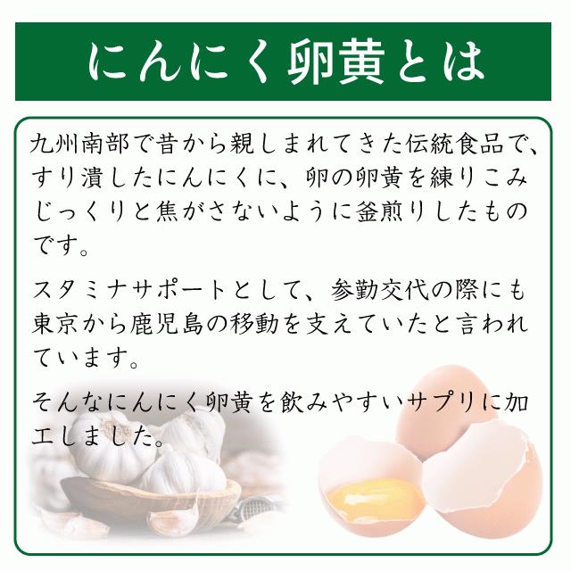 にんにく卵黄 約3か月分 C-110 サプリメント 健康 サプリ 女性｜ripusa｜03