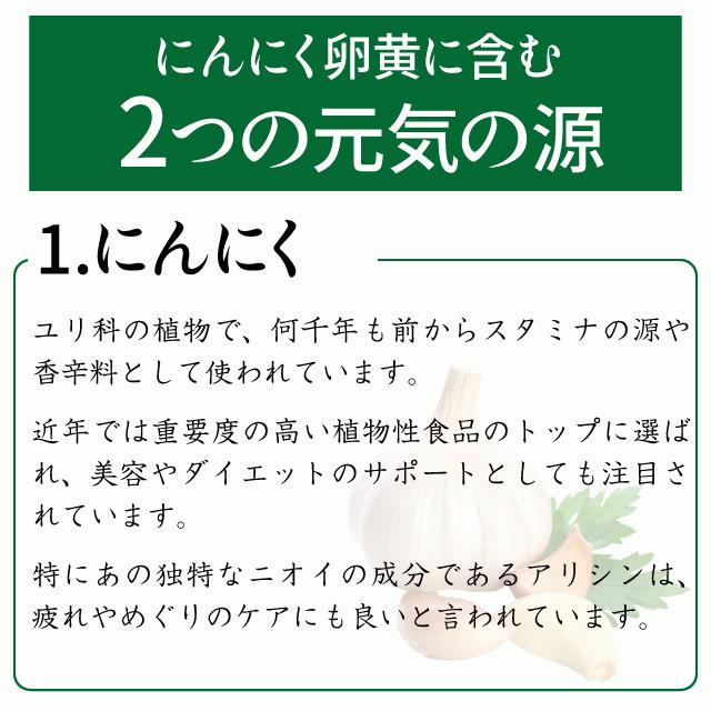 にんにく卵黄 約3か月分 C-110 (90カプセル) サプリメント 健康 サプリ 女性 | Lipusa | 03