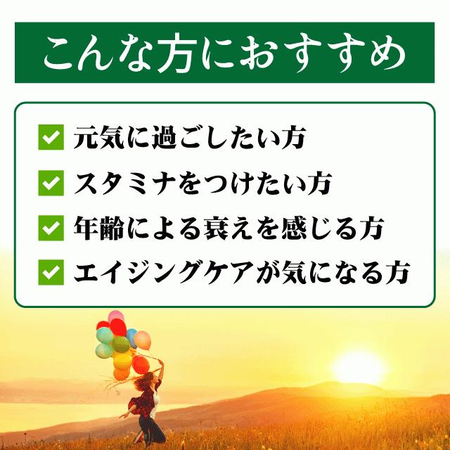 にんにく卵黄 約3か月分 C-110 (90カプセル) サプリメント 健康 サプリ 女性 | Lipusa | 05