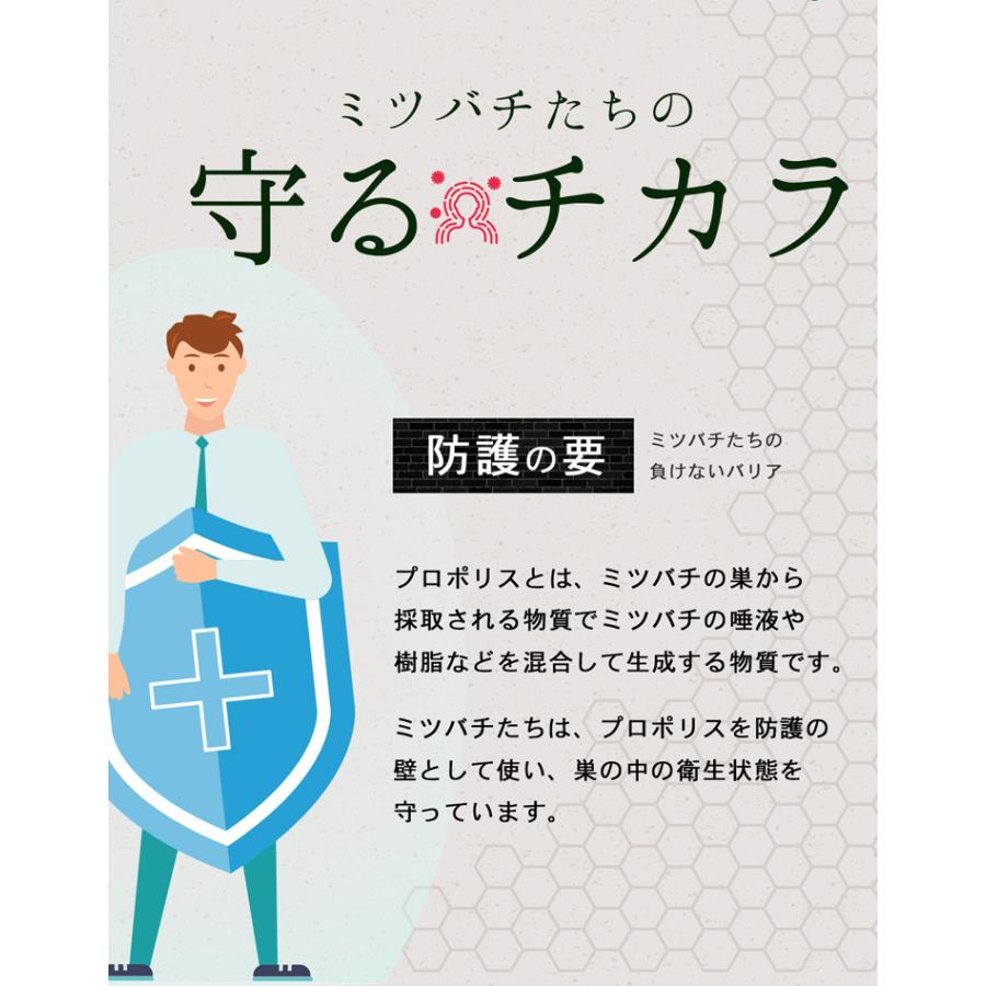 プロポリスMAX 約3か月分 C-103 サプリメント 健康 プロポリス 美容 むずむず ビタミン フラボノイド 蜂ヤニ｜ripusa｜03