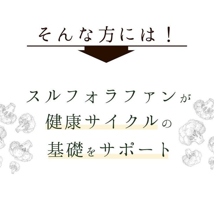 スルフォラファン 約1か月分×6袋 C-100-6 サプリメント 健康 ビタミンE ブロッコリー スプラウト サプリ｜ripusa｜04