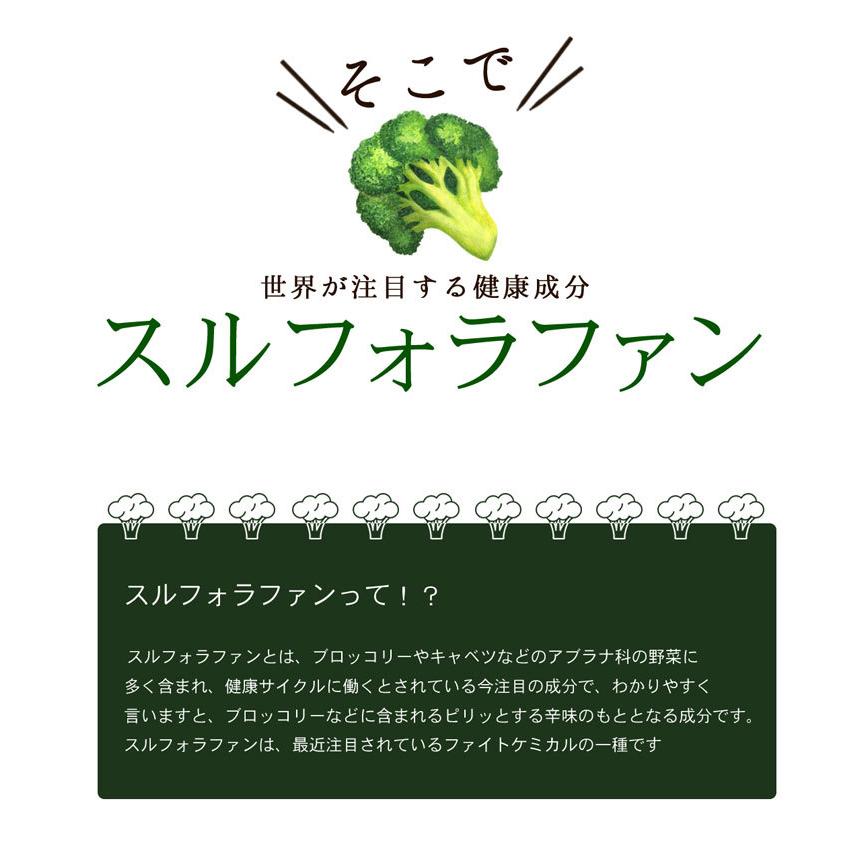 スルフォラファン 約1か月分×6袋 C-100-6 (60カプセル×6袋) サプリメント 健康 ブロッコリースプラウト ブロッコリー サプリ | Lipusa | 05
