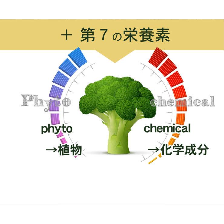 スルフォラファン 約1か月分 C-100 (60カプセル) サプリメント ブロッコリースプラウト ブロッコリー 健康 サプリ | Lipusa | 06