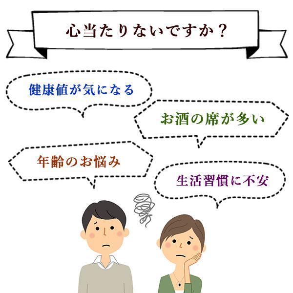 Lipusa（リプサ） 田七人参粒 約3か月分×2袋 T-602-2 (720粒×2袋