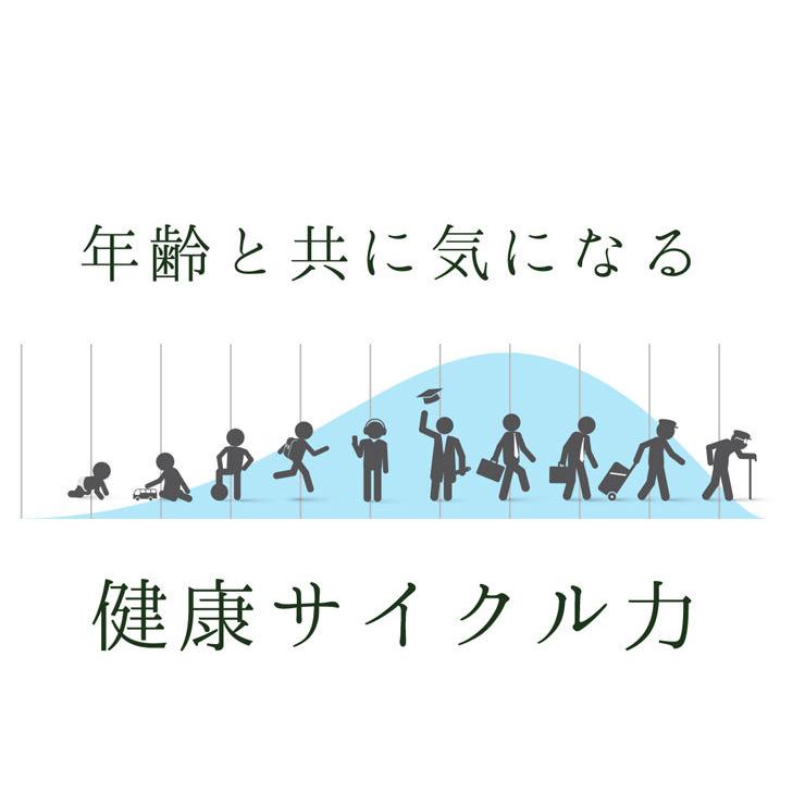 Lipusa スルフォラファン粒 約1か月分×3袋 T-751-3 (60粒×3袋