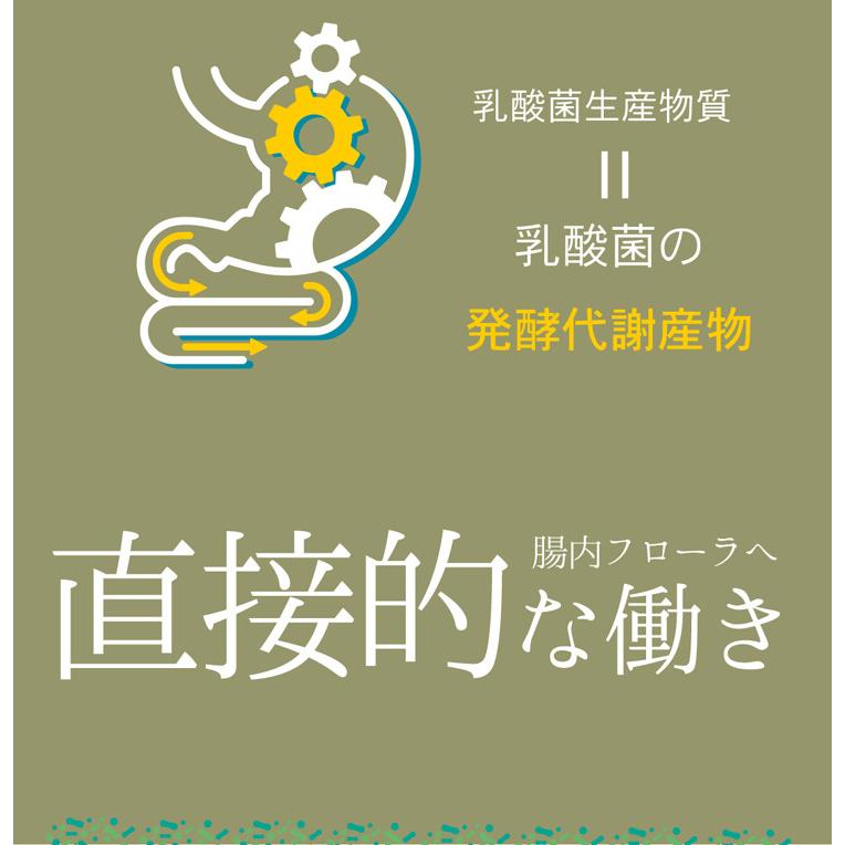 Lipusa 16種類の乳酸菌生産物質 約1か月分 T-760 (60粒