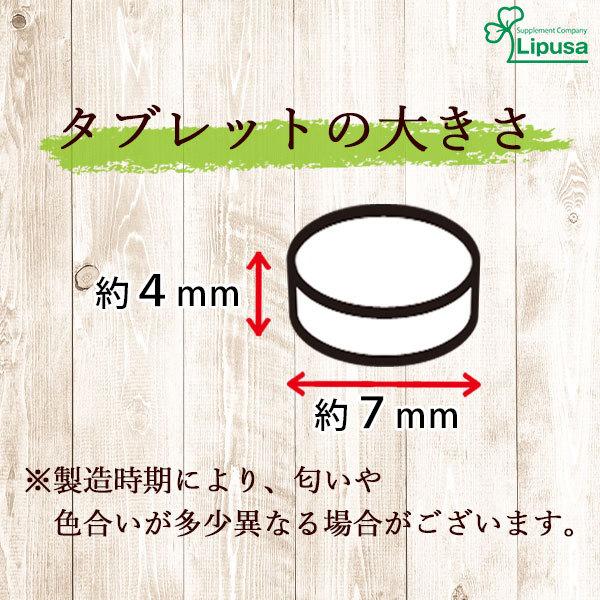 16種類の乳酸菌生産物質 約1か月分 T-760 サプリメント 健康｜ripusa｜08