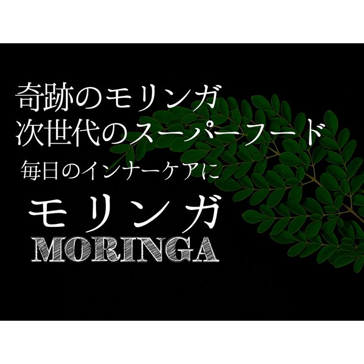 モリンガ粒 約3か月分 T-771 サプリメント 健康 美容 ビタミンC 鉄 ミネラル GABA 食物繊維 アミノ酸 ビタミンE｜ripusa｜05