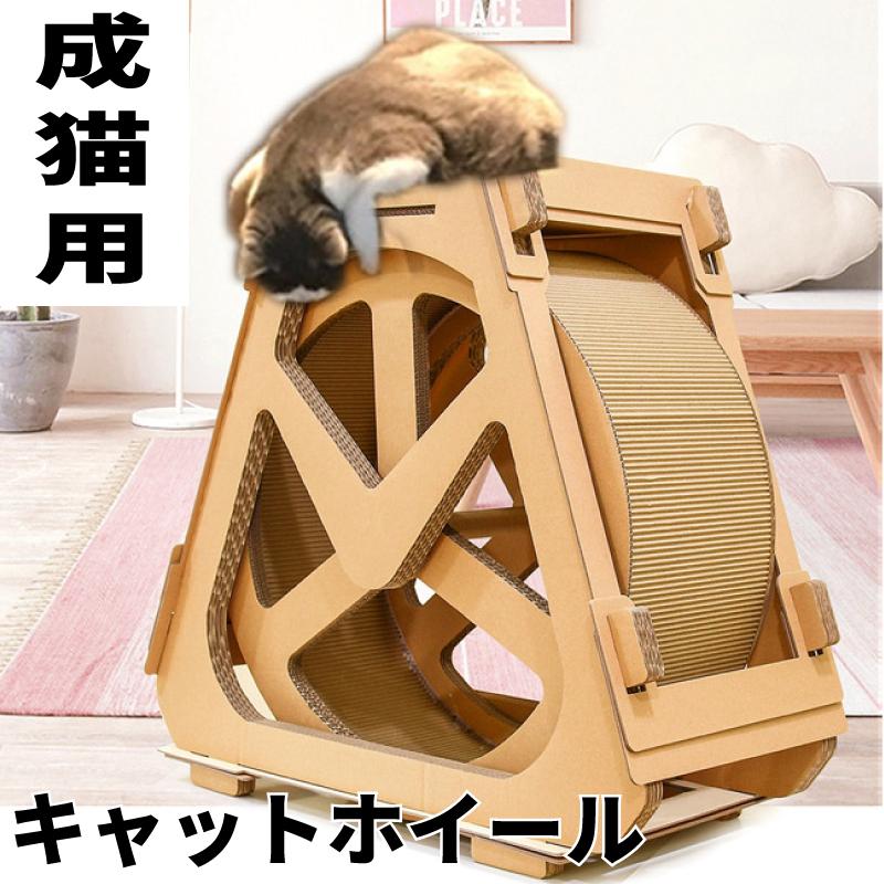最高の キャッツ エクササイズホイール Lサイズ 成猫用 ダンボール ダイエット キャットウィール ランニングマシン 送料無料 交換無料 Atempletonphoto Com