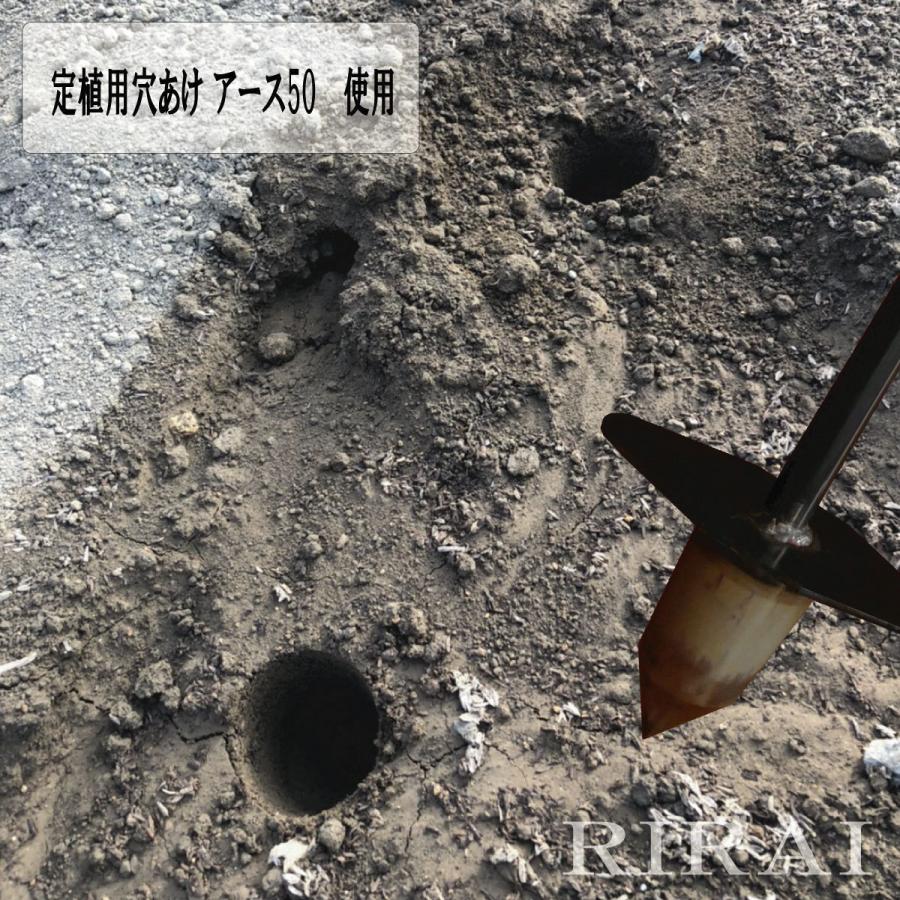 定植用 穴あけ 穴堀 アース50 【 RIRAI/日本製/踏ing 】 スチール製