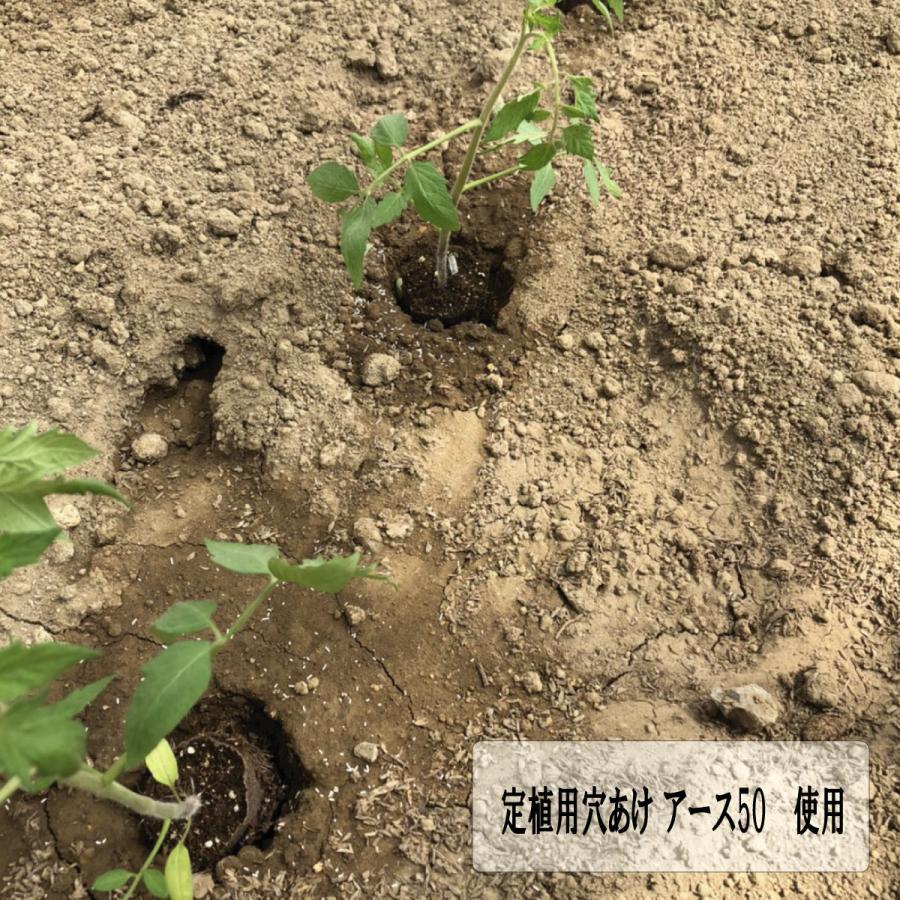 定植用 穴あけ 穴堀 アース50 【 RIRAI/日本製/踏ing 】 スチール製