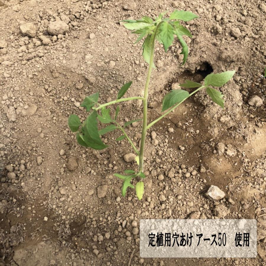 定植用 穴あけ 穴堀 アース50 【 RIRAI/日本製/踏ing 】 スチール製