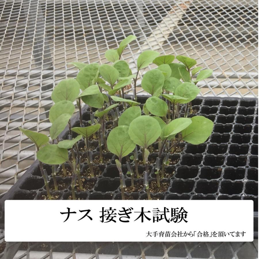 接ぎ木クリップ 1 000個入 内径1 4mm対応内径1 4 1 7mm 日本製 Rirai ナス科 接ぎ木 苗 幼苗 接木 1 4mm 1 5mm 1 6mm 1 7mm Rirai 通販 Yahoo ショッピング