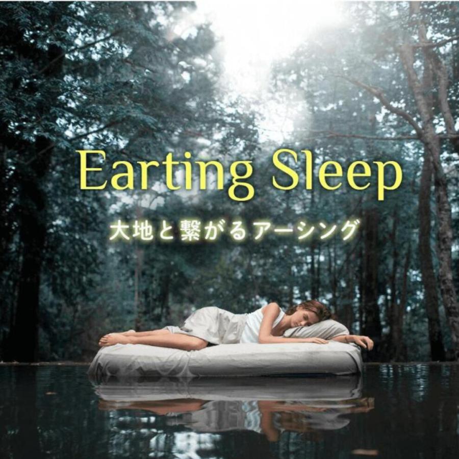 スタートセット) Earthiness Sheet アーシネスシーツ ピュアシルバー