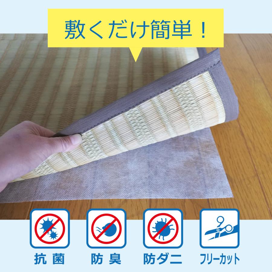 防ダニシート 抗菌・消臭 ボナレックス使用 シングルサイズ 105×200cm