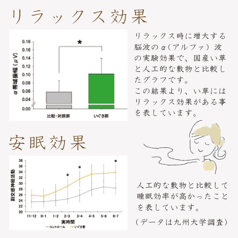 (GW限定クーポン有) 置き畳 ユニット畳 琉球畳 畳 国産 い草 約65×65cm×厚み1.5cm(1枚) (小春)｜rirakusa｜10