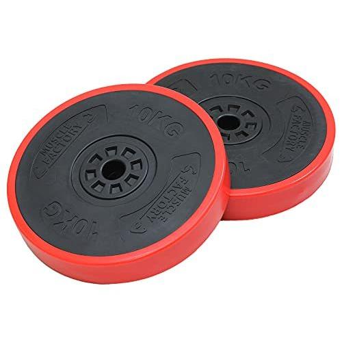 種類豊富な品揃え フィ ベンチプレス 器具 ジム トレーニング ウエイト 筋トレ 重り 2個セット 10kg プレート バーベル Factory Muscle Factory Muscle ウエイトトレーニング Excon Pe