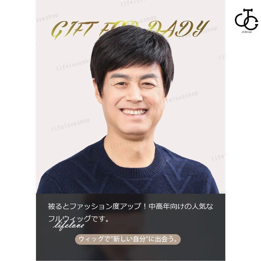 大人気新作 メンズアクセサリー ウィッグ 自然 メンズ 人毛 100 ショート ウィッグ メンズ 短髪 フルウィッグ 自然 人毛 50代 かつら 男性用 ショートウィッグ 中高年 医療用 薄毛 脱毛症 増毛 分け目 つむじ 薄毛隠し Www Threeriversofs Com