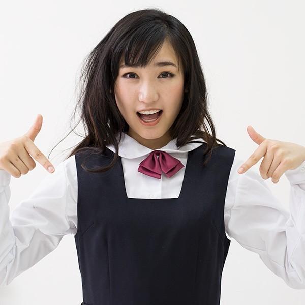 1724 ダブル蝶タイ（ブラウス専用） : 制服通販リサアンドザスター
