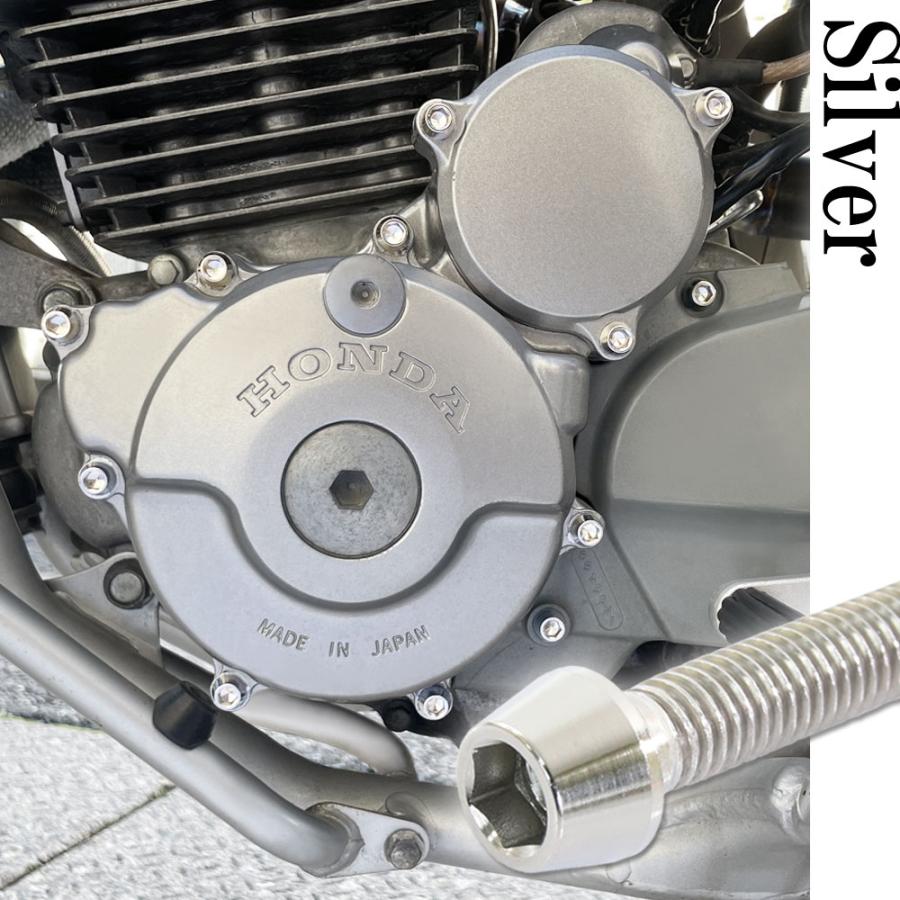 チタンボルト ホンダ CB1100 SC65専用 クランクケース エンジンカバー
