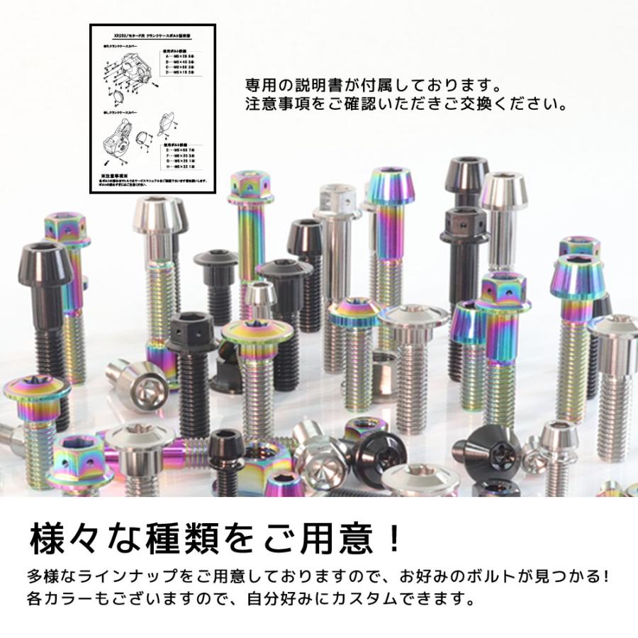 専用のお品 チタンボルト ホンダ FTR223/SL230専用 クランクケース エンジンカバー