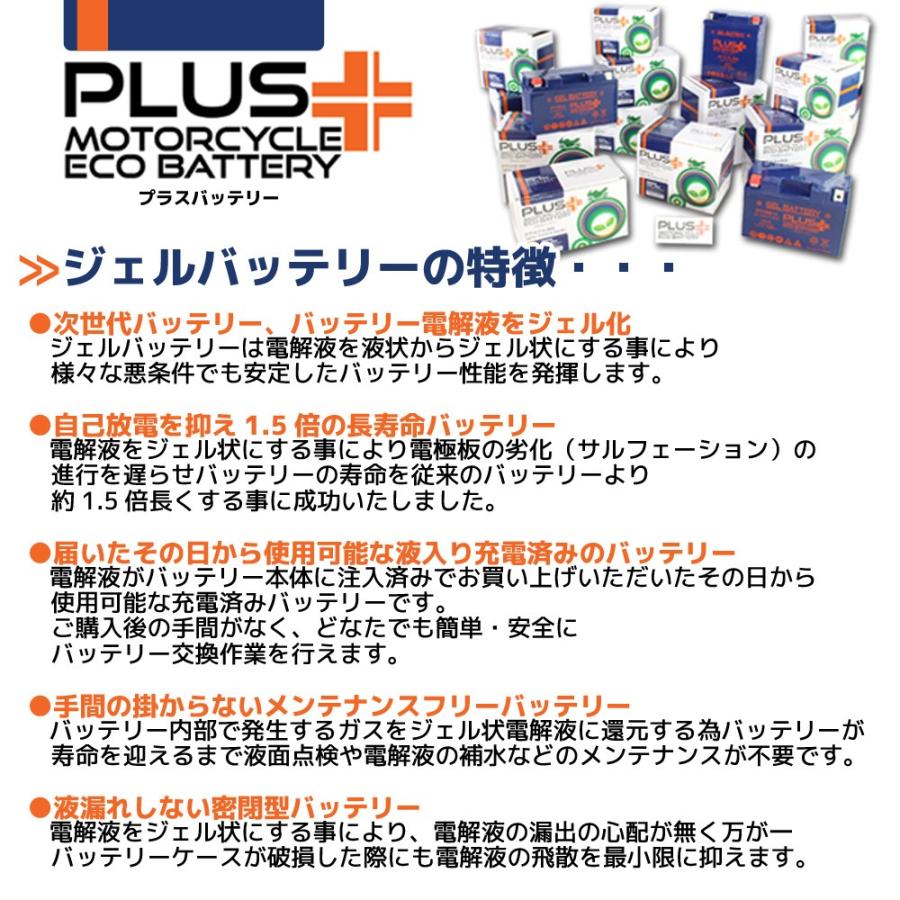 充電済み すぐ使える バイク用 ジェルバッテリー PTZ6V (互換 YTZ6V/GTZ6V/FTZ6V) XR250モタード MD30 NS400R NC19 NS250F MC11 NS250R MC11 XR250 MD30｜rise-corporation-jp｜03