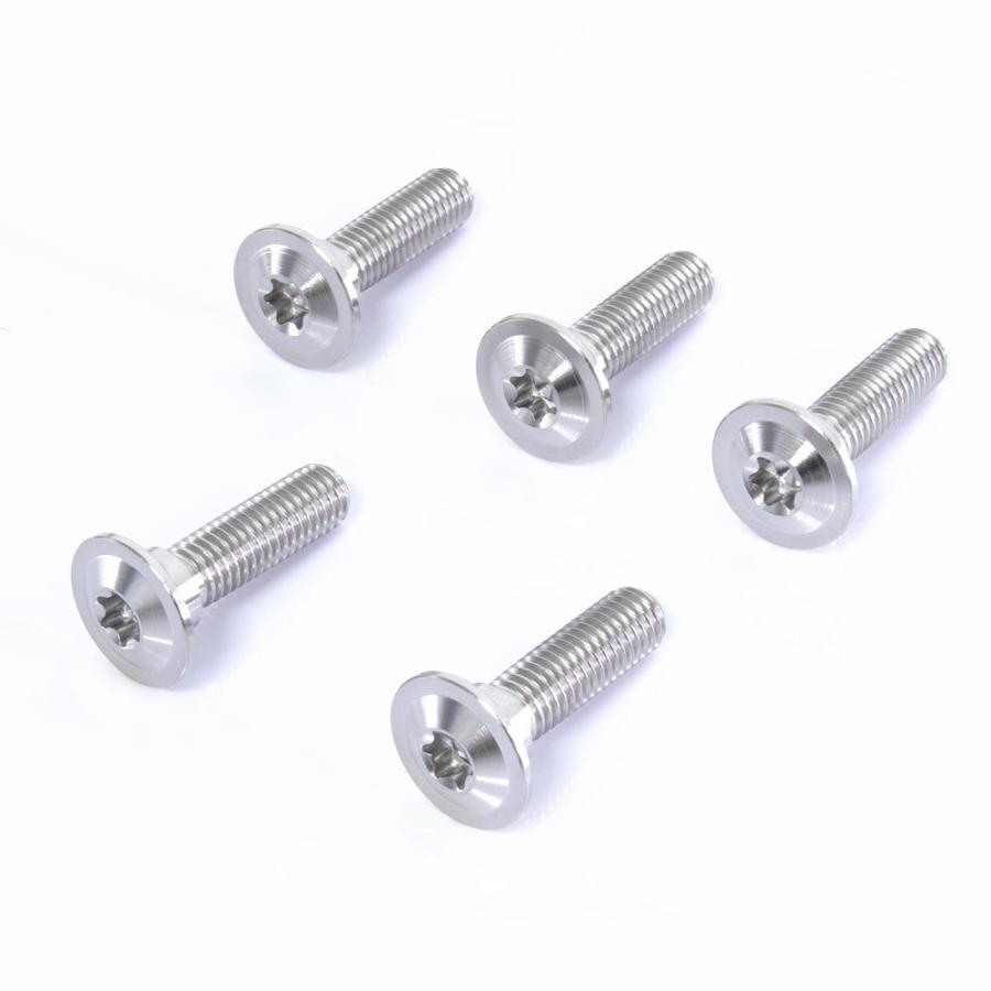 M8×30 P1.25 チタンボルト ブレーキディスクボルト 5本セット M8×30 P1.25 チタンボルト ブレーキディスクボルト 5本セット
