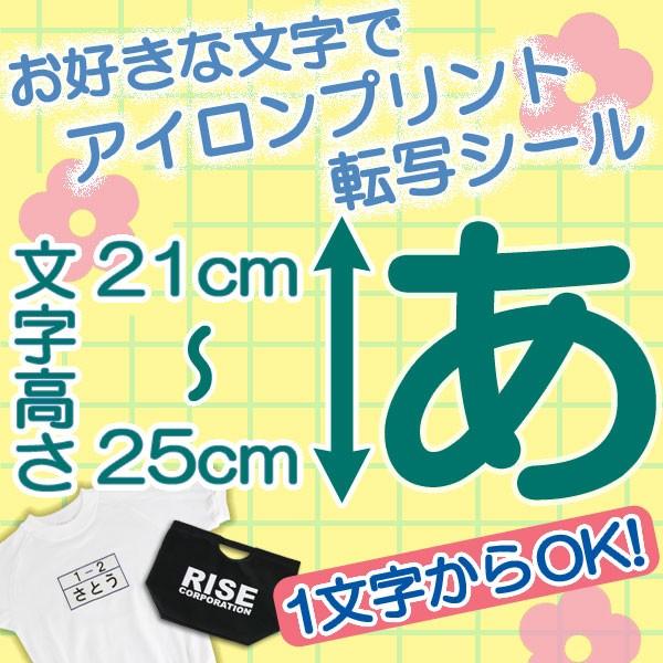 カッティング 熱転写 切り文字 アイロンプリントシート　21〜25cm 入園 入学 Tシャツ ジャンパー 名札 体操着 ブルゾン 新元号 令和 令和元年 などに｜rise-corporation-jp