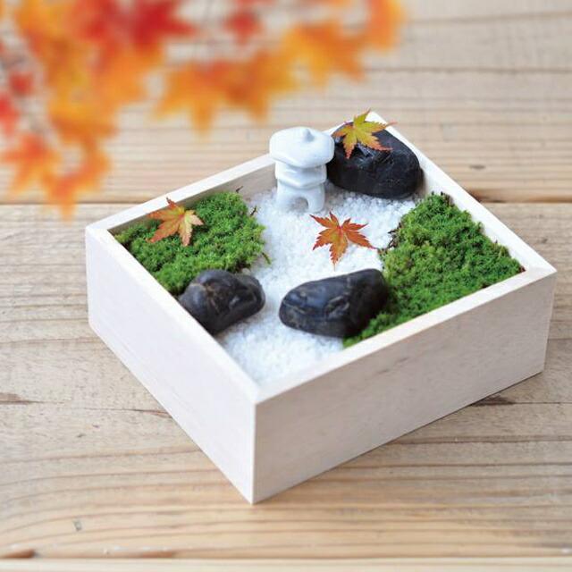 聖新陶芸 苔盆 ミニチュア 庭園作り 箱庭作り スナゴケ 栽培 盆景