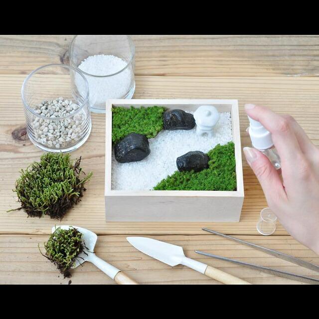 聖新陶芸 苔盆 ミニチュア 庭園作り 箱庭作り スナゴケ 栽培 盆景