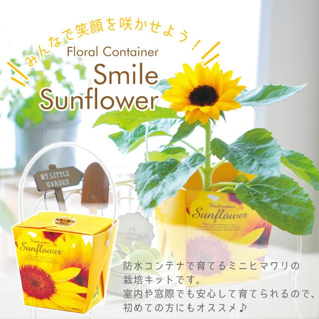 聖新陶芸 Floral Container スマイルサンフラワー GD434 ミニヒマワリ