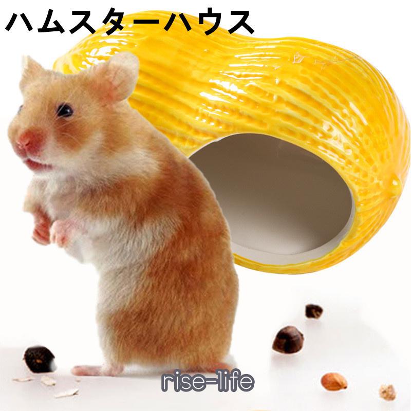 ハムスター ハウス 夏用 涼感 ひんやり 陶器 おへや ベッド 貝殻 家 暑さ対策 トトロ リス 小動物 ハリネズミ おもちゃ かわいい Xrx Riseshop 通販 Yahoo ショッピング