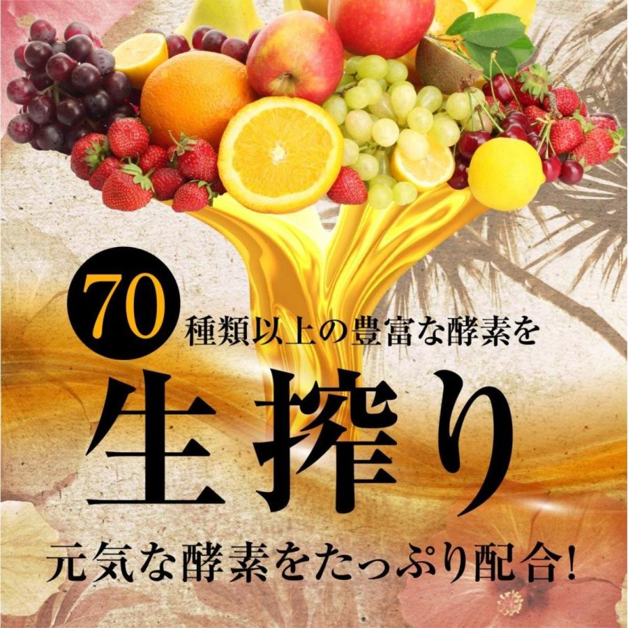 コンブチャ 酵素 ドリンク 置き換え ダイエット 食品 国産 生酵素 健康 フルーツ ファスティング コンブチャ ヘルシーボ 720ml 送料無料｜rise-one｜08