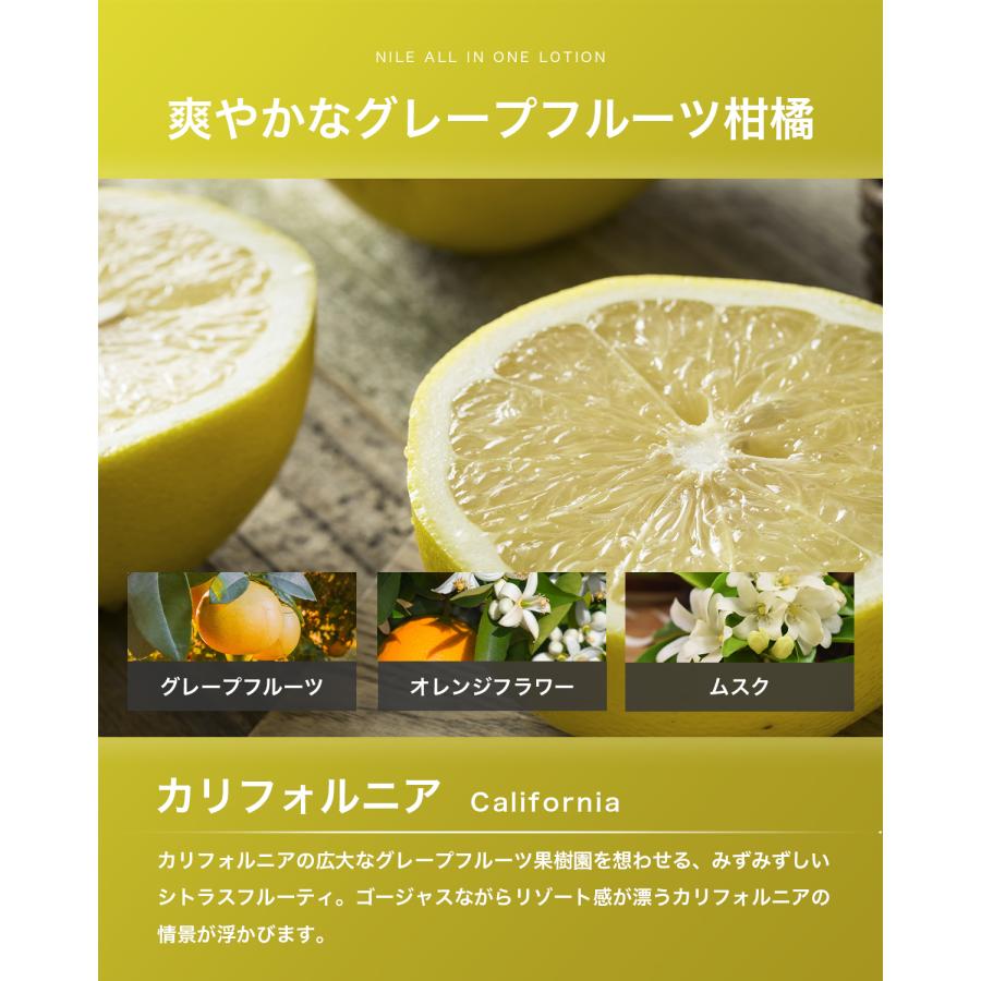 Nile オールインワンローション 詰め替え用 化粧水 アフターシェーブ